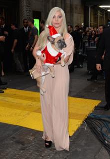 Lady Gaga feet photo thumbnail