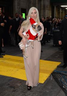 Lady Gaga feet photo thumbnail