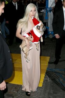 Lady Gaga feet photo thumbnail