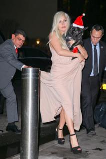 Lady Gaga feet photo thumbnail