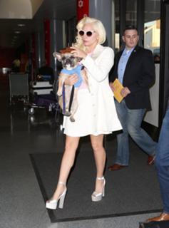 Lady Gaga feet photo thumbnail