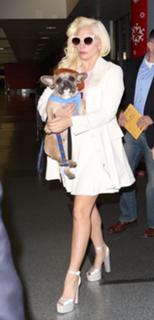 Lady Gaga feet photo thumbnail