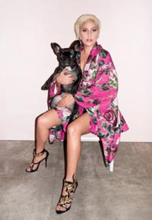 Lady Gaga feet photo thumbnail