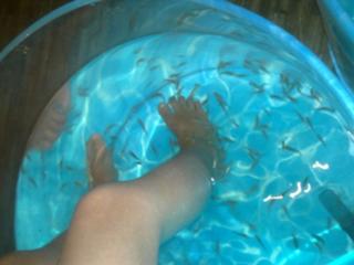 Laila Bagge feet photo 7