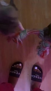 Lala Baptiste feet photo thumbnail