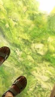 Laleh Marzban feet photo 2