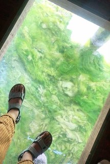 Laleh Marzban feet photo 1