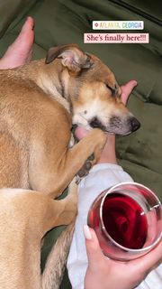 Lana Condor feet photo thumbnail