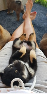 Lana Klingor feet photo 7