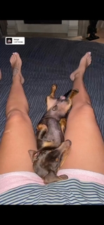 Lana Klingor feet photo 1