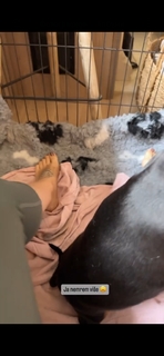 Lana Klingor feet photo 13