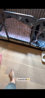 Lana Klingor feet photo 10
