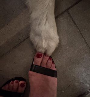 Lana Parrilla feet photo thumbnail