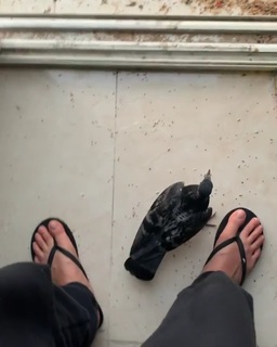 Lana Rose feet photo thumbnail
