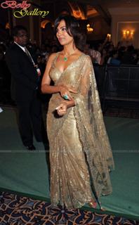 Lara Dutta feet photo thumbnail