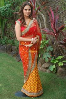 Lara Dutta feet photo thumbnail