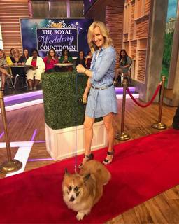Lara Spencer feet photo thumbnail