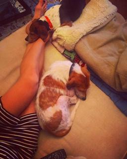 Lara Trump feet photo thumbnail