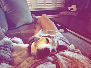 Lara Trump feet photo thumbnail