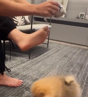 Larissa Tomásia feet photo 13