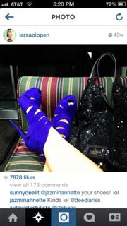 Larsa Pippen feet photo thumbnail