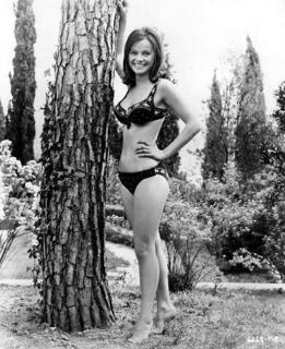 Laura Antonelli feet photo 8