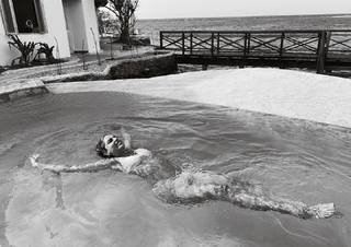 Laura Barjum feet photo 10