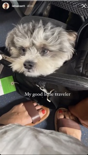 Laura Bassett feet photo thumbnail