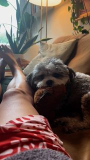 Laura Bassett feet photo thumbnail