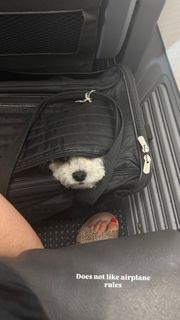 Laura Bassett feet photo thumbnail