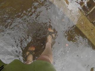 Laura Cayouette feet photo 9