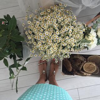 Laura Cosoi feet photo 14