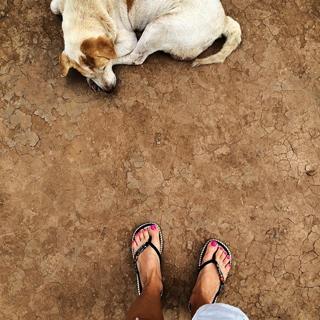 Laura Cosoi feet photo 10