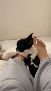 Laura Cremaschi feet photo 9