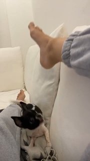 Laura Cremaschi feet photo 8