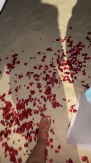 Laura Cremaschi feet photo 20