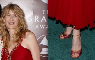 Laura Dern feet photo thumbnail
