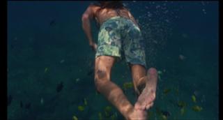 Laura Dern feet photo thumbnail