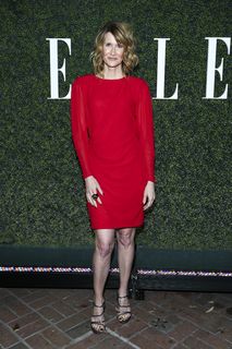 Laura Dern feet photo thumbnail