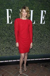 Laura Dern feet photo thumbnail