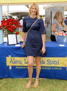 Laura Dern feet photo thumbnail