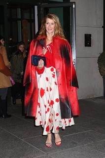 Laura Dern feet photo thumbnail