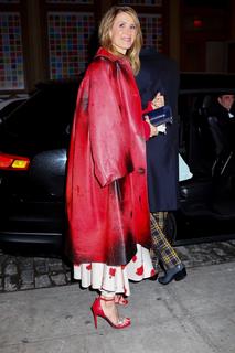Laura Dern feet photo thumbnail