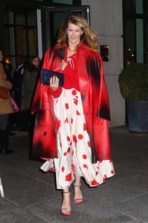 Laura Dern feet photo thumbnail