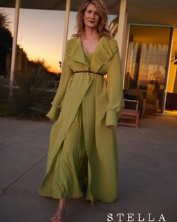 Laura Dern feet photo thumbnail