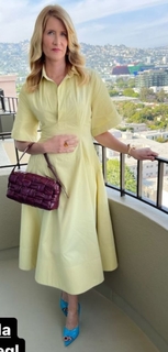 Laura Dern feet photo thumbnail