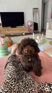 Laura Escanes feet photo 4