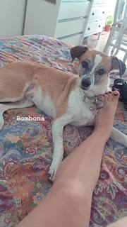 Laura Esquivel feet photo 15