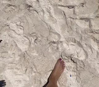 Laura González feet photo thumbnail