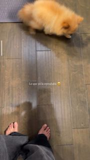 Laura González feet photo 3